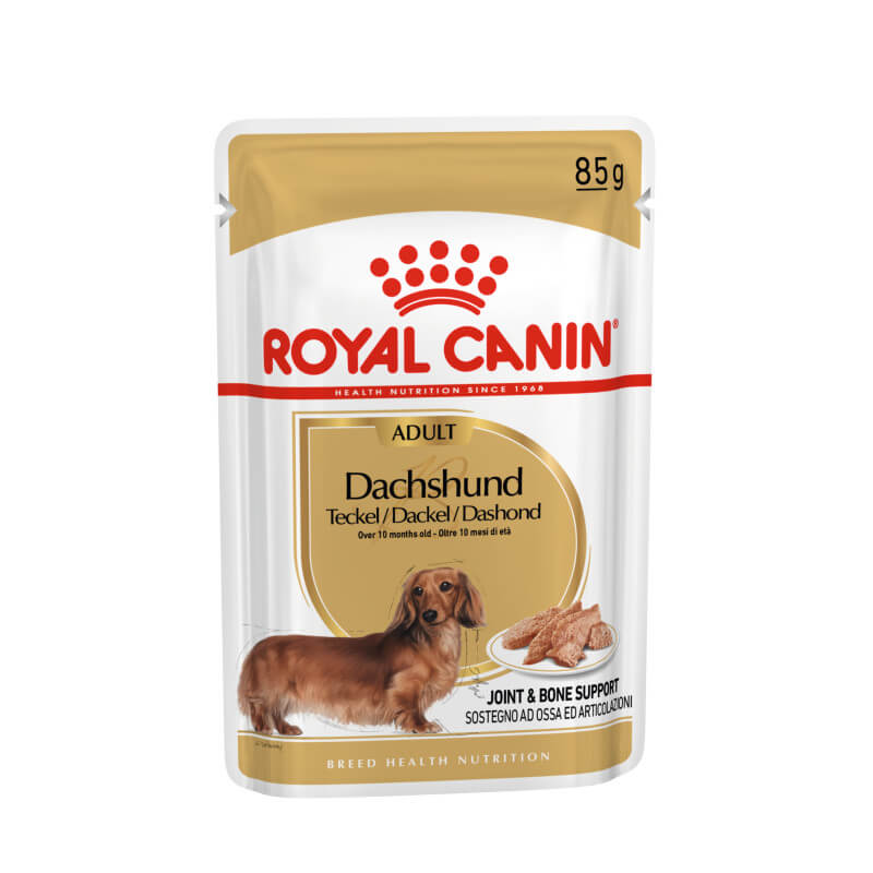 Royal Canin Dachshund Box 12x85g, joint and muscle support for adult dogs.