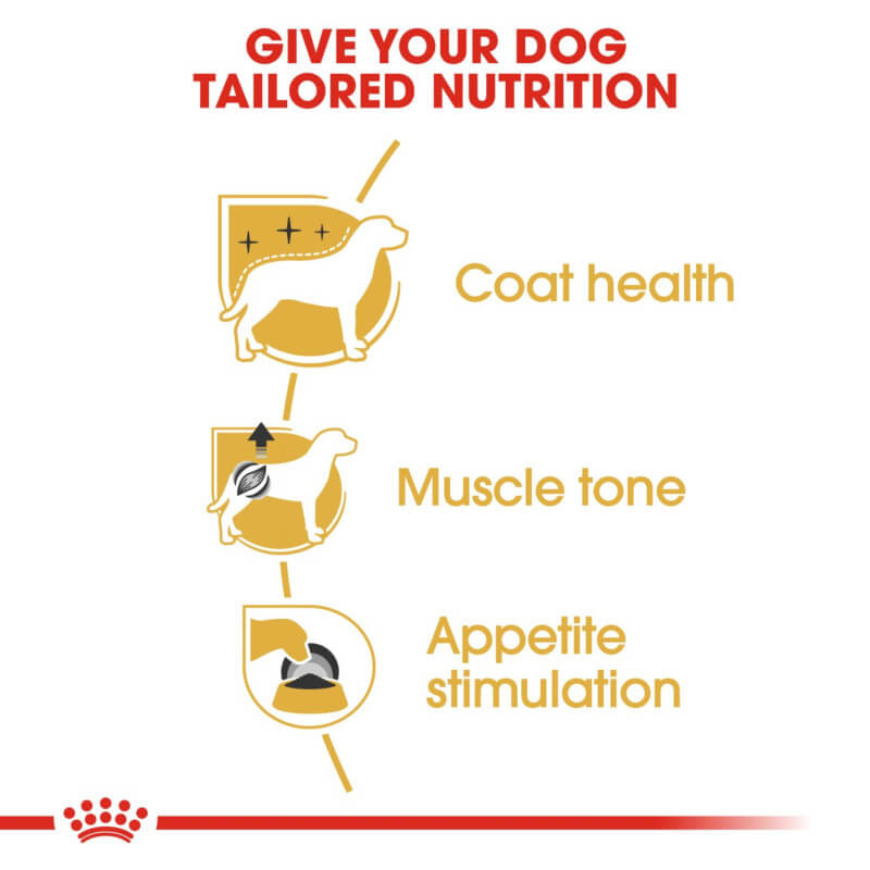 Royal Canin Poodle Pouch 12x85g provides tailored nutrition for adult Poodles.