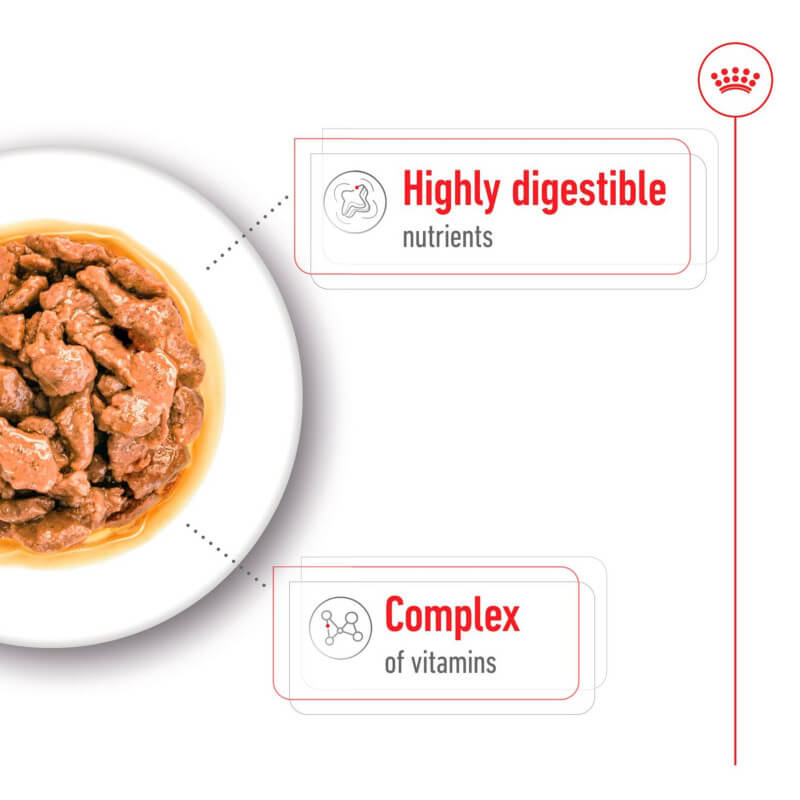 Royal Canin Mini Adult 12x85g wet dog food pouches feature a small dog and food image, ideal for adult small breed dogs.