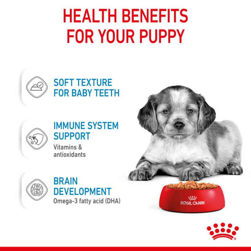 A puppy sits by Royal Canin Medium Puppy 10x140g food, with health benefits listed in text.