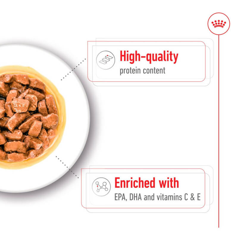 Royal Canin Medium Ageing 10+ wet dog food, rich in protein for dogs 10 years and older.