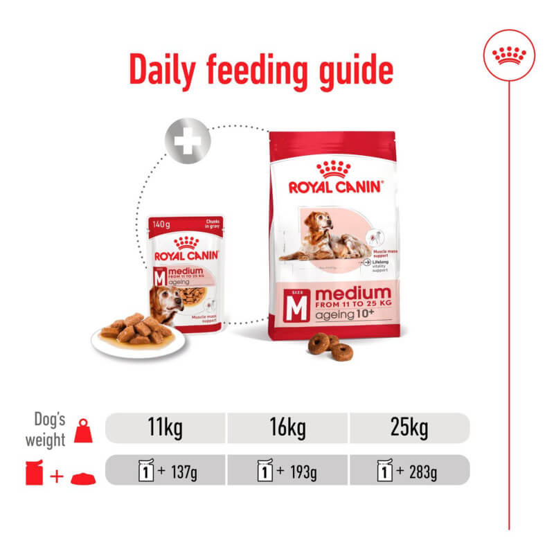 Royal Canin Medium Ageing 10+ 10x140g feeding guide for 11kg, 16kg & 25kg senior dogs.
