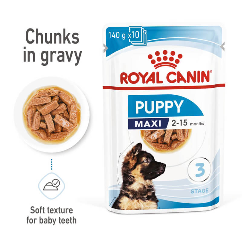 Royal Canin Maxi Puppy 10x140g wet food pouches support large-breed puppy development.