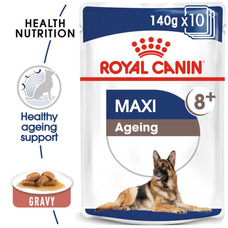Royal Canin Maxi Ageing 8+ 10x140g wet food for senior large breed dogs.