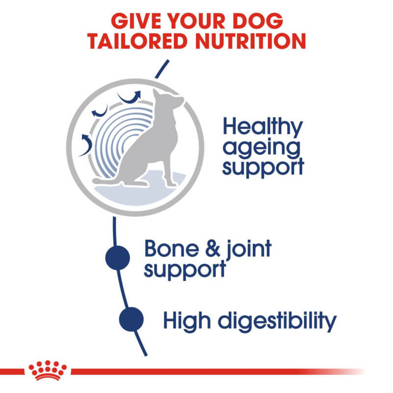 Royal Canin Maxi Ageing 8+ supports bone health & digestion for senior dogs.