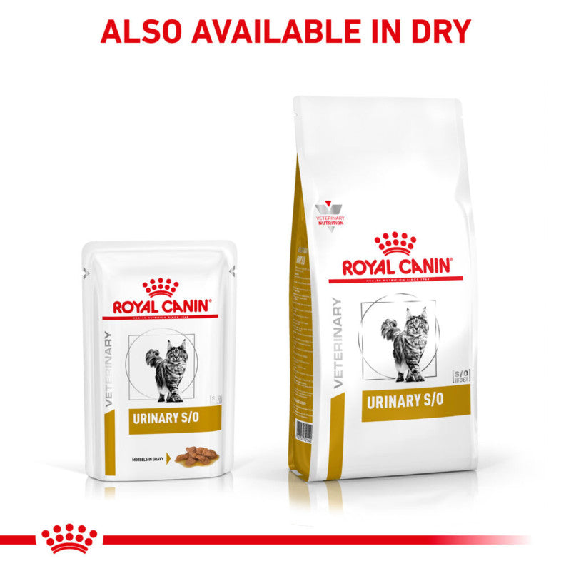 Royal Canin Veterinary Feline Urinary S/O Morsels Wet Pouch 12x85g on a white background.