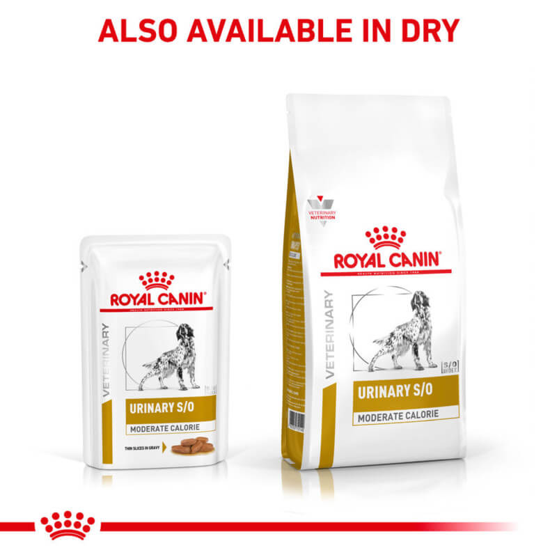 Royal Canin Canine Urinary S/O Moderate Calorie 12x100g