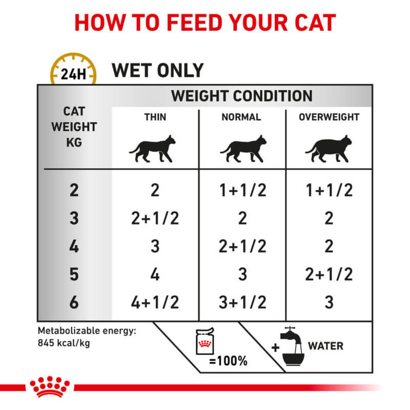 Cat feeding chart with daily Royal Canin Veterinary Urinary S/O Loaf 85g pouch by weight.
