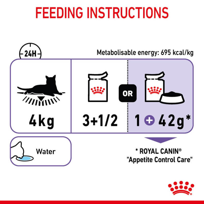 4kg cat: 1 Royal Canin Appetite Control Care pouch + 42g dry food daily.