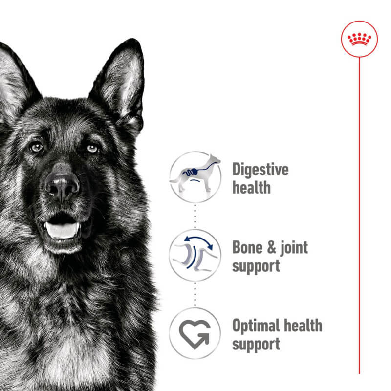 Royal Canin Maxi Adult Tin 410g supports digestive, joint, and overall health in large dogs.