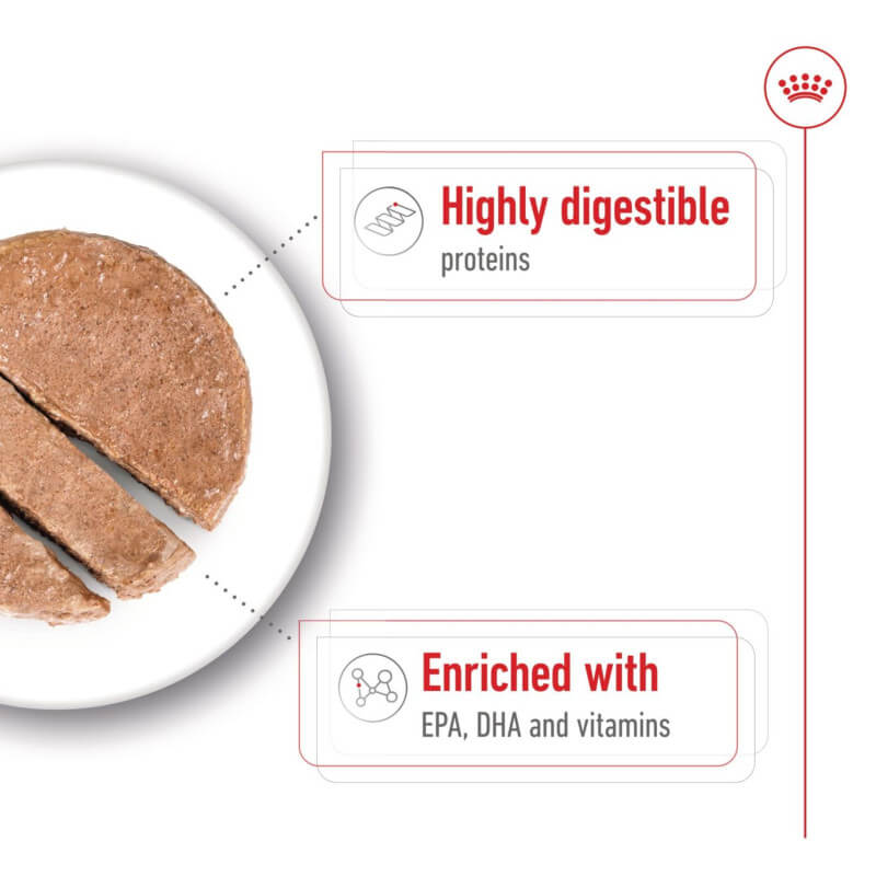 Round patty slices of Royal Canin Maxi Ageing 5+ Tin, enriched with EPA, DHA, and vitamins.
