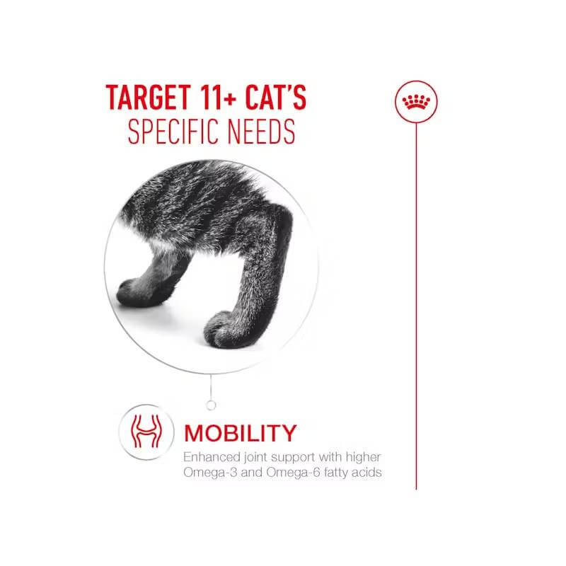 Cat’s hind legs walking, text highlights Royal Canin Ageing 11+ Cat Pouch in Jelly for seniors.