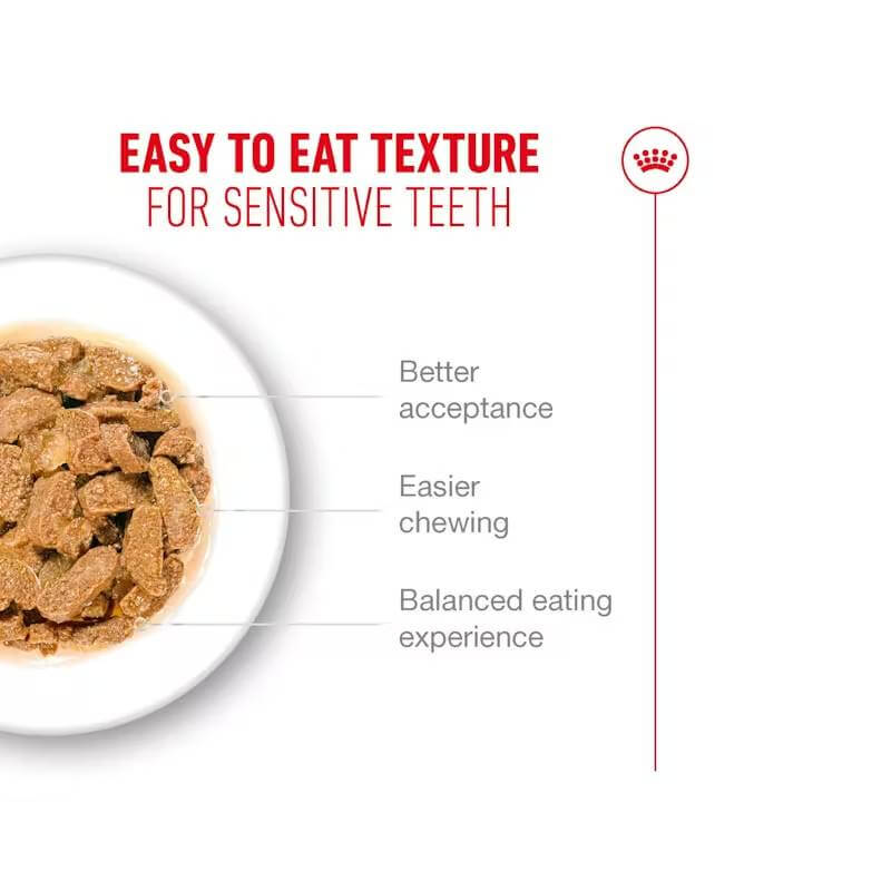Royal Canin Ageing 11+ Cat Pouch in Jelly: Soft texture for cats with sensitive teeth.