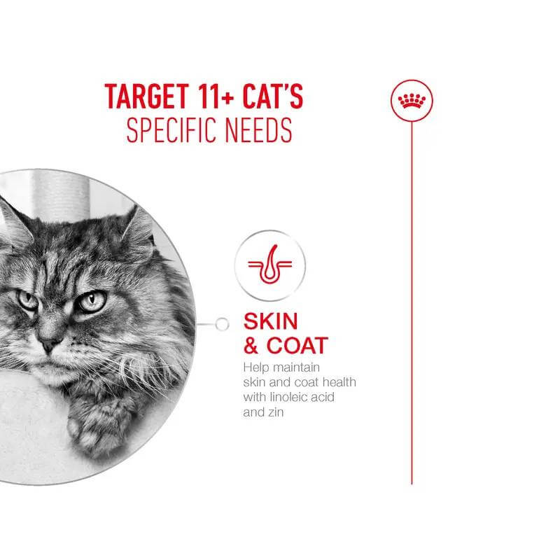 Close-up of a cat; text highlights Royal Canin Ageing 11+ Cat Pouch in Gravy for senior cats.