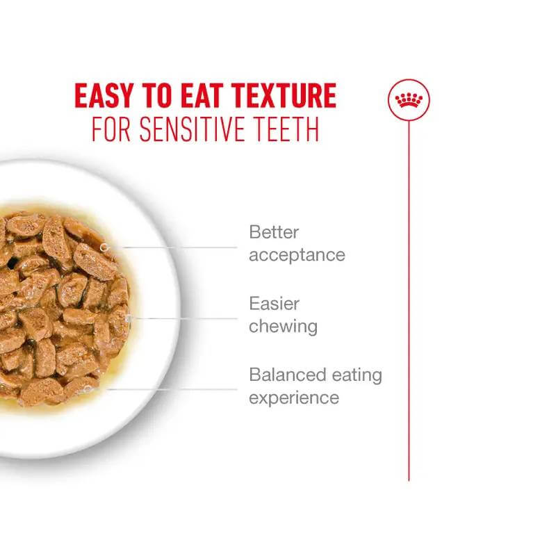 Royal Canin Ageing 11+ in Gravy: easy-texture senior cat food for sensitive teeth and nutrition.