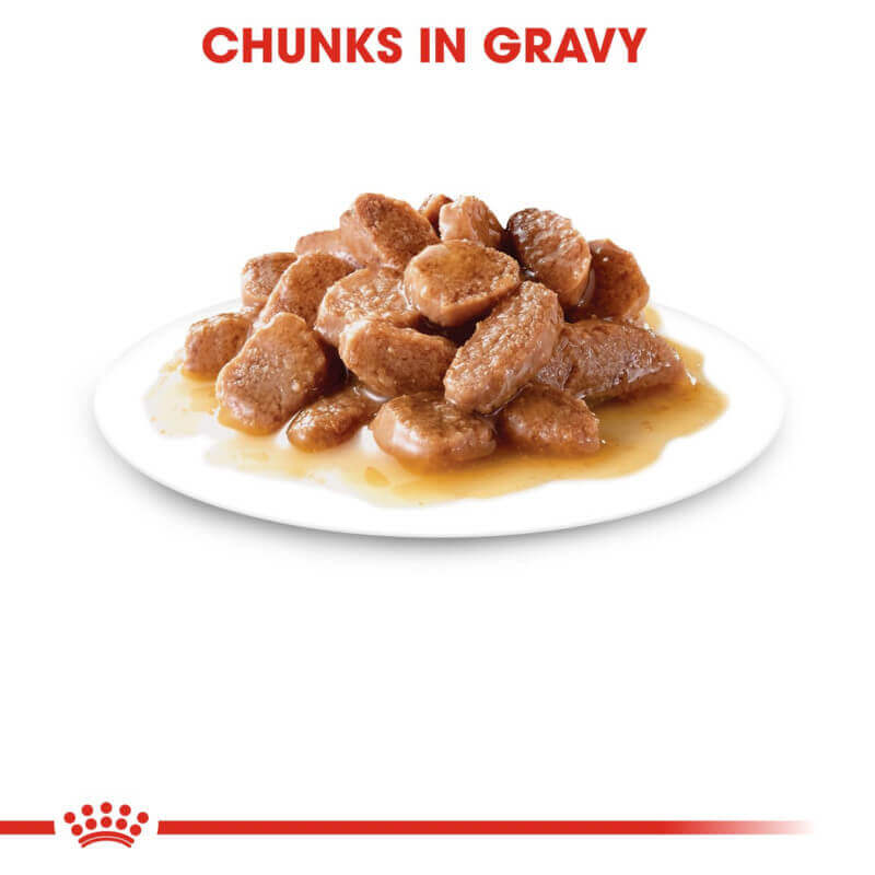 Royal Canin Instinctive cat food chunks in gravy on a white plate, CHUNKS IN GRAVY above.