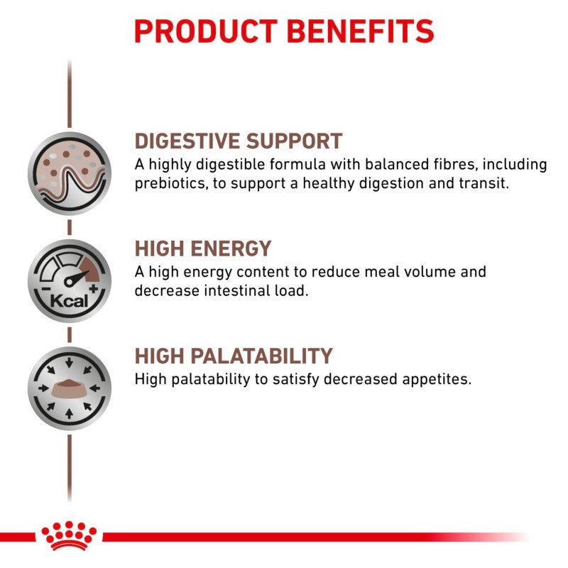 Infographic on digestive support, energy & taste in Royal Canin Gastro Intestinal 12X400g dog food.