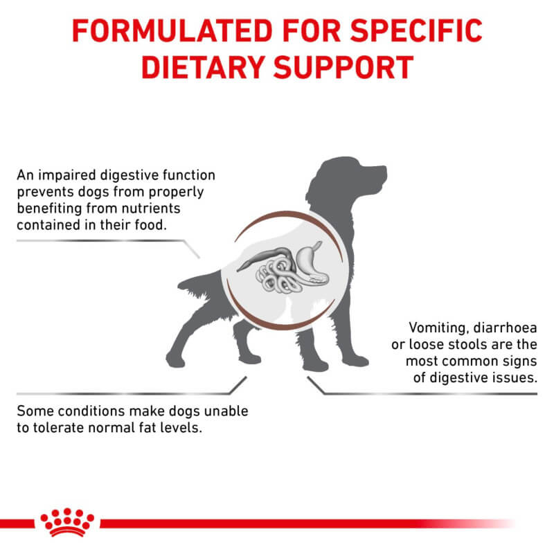 Dog silhouette with GI organs highlighted, info on Royal Canin GI Low Fat Loaf by Royal Canin Veterinary.