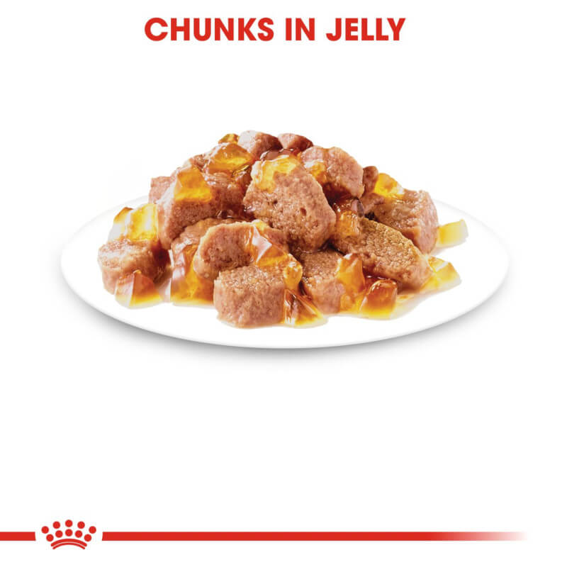 Royal Canin Instinctive In Jelly Pouch 12x85g: meaty chunks for adult cats in yellow jelly.