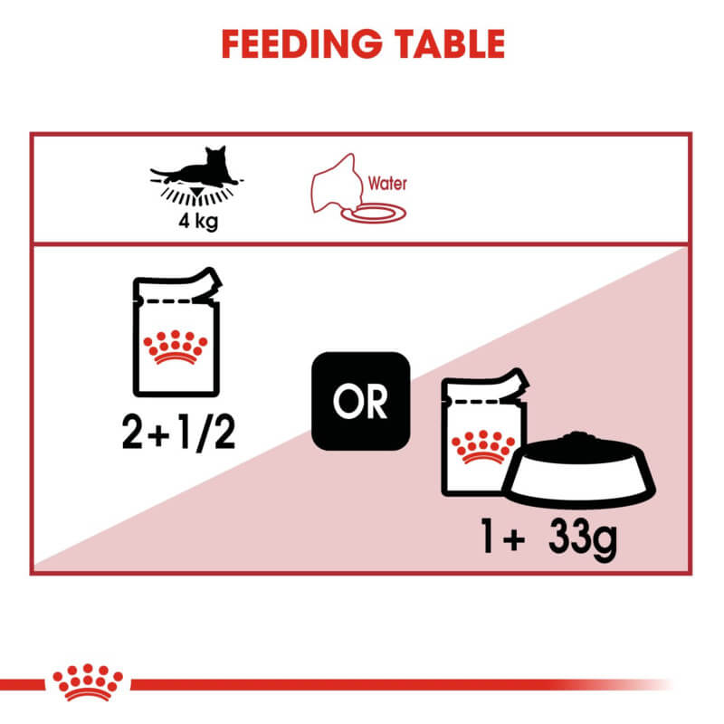 Feed adult cats 2.5 pouches daily or 1 pouch plus 33g dry food (Royal Canin Instinctive Jelly).