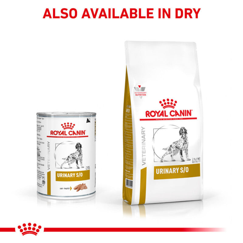 A can of Royal Canin Veterinary Urinary S/O Loaf supports urinary tract health.
