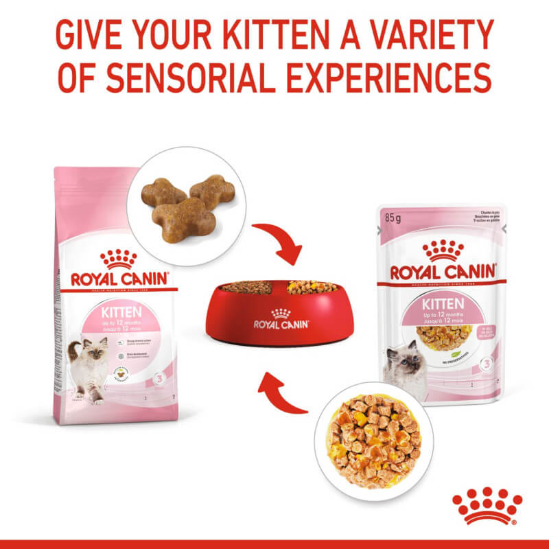 Royal Canin Kitten In Jelly 12x85g with a red bowl and text about sensorial experiences.