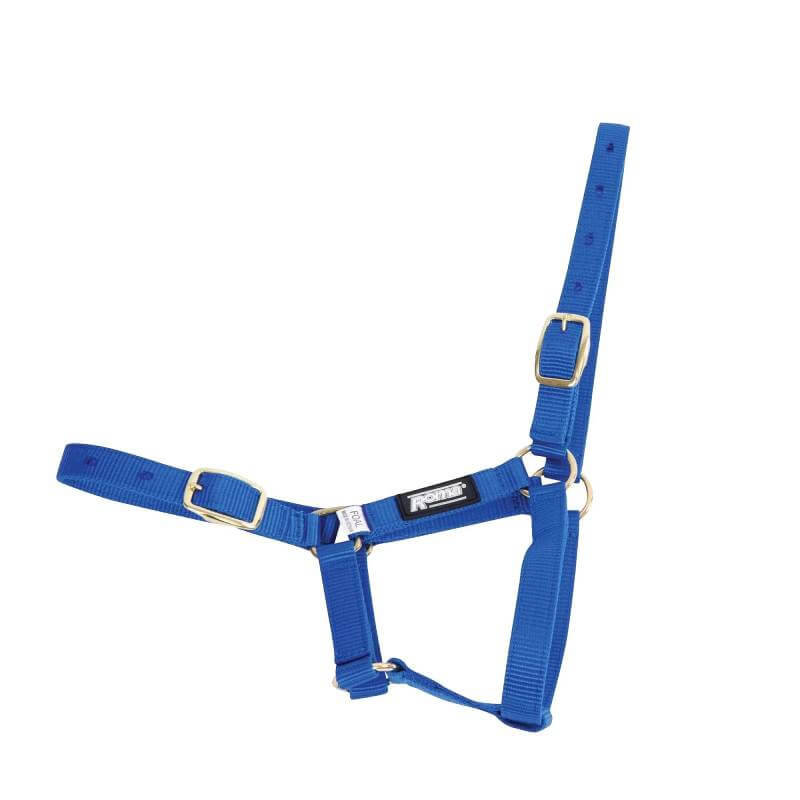 Roma Foal Headcollar in blue nylon with gold buckles and adjustable nose, by Roma.