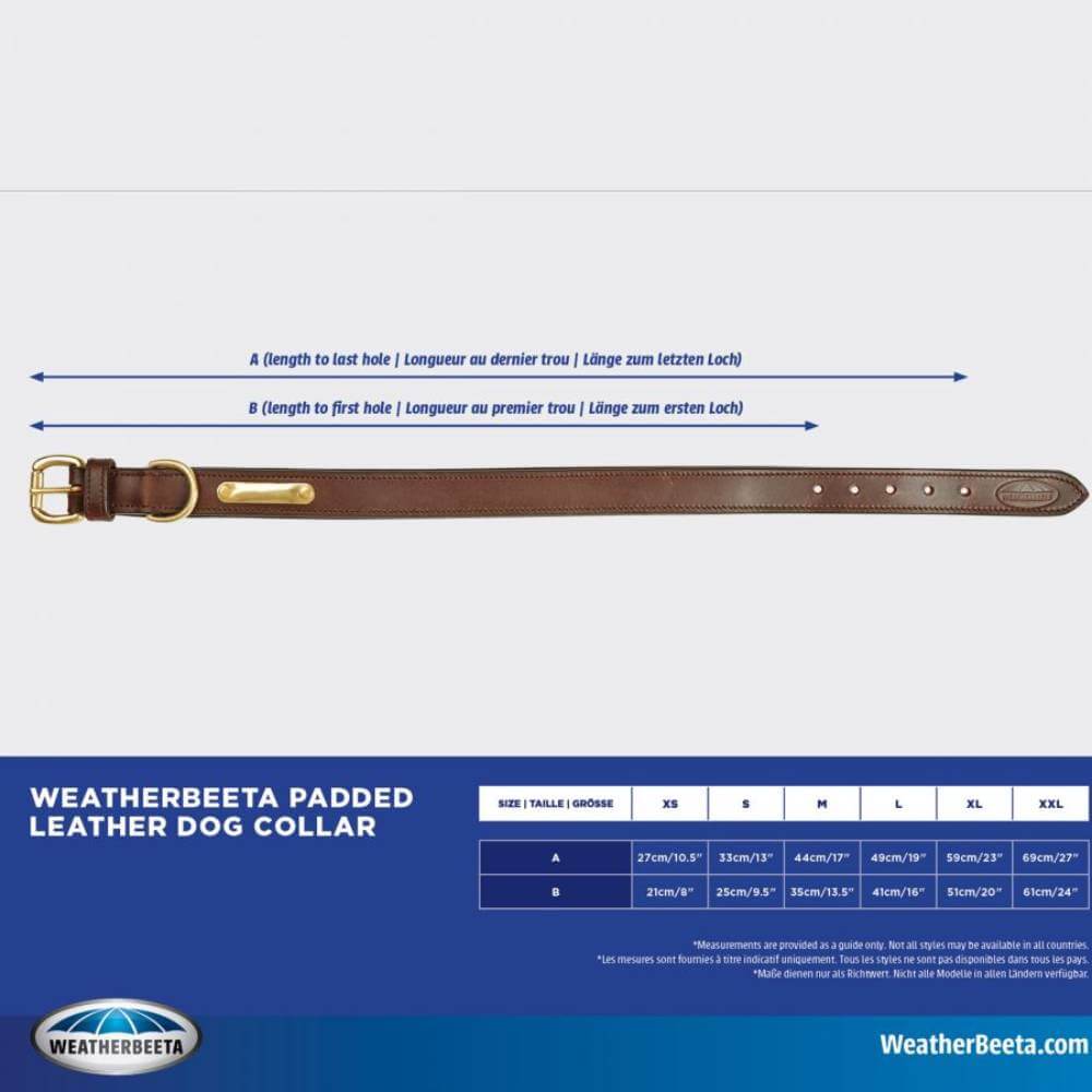 Weatherbeeta Padded Leather Dog Collar