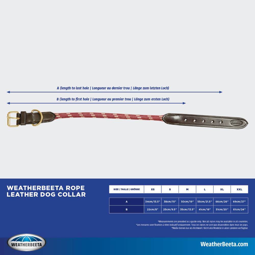 Three Weatherbeeta Rope Leather Dog Collars in navy, teal, and red with gold buckle closures.