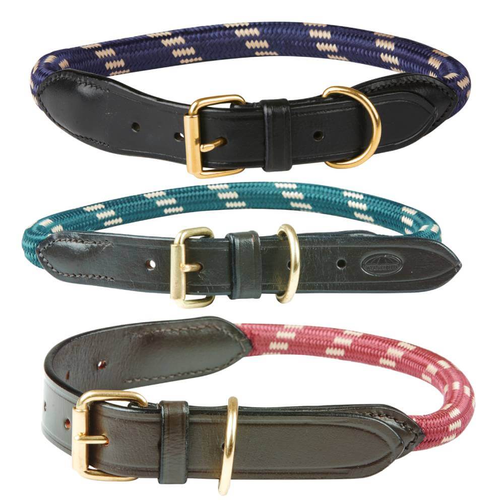 Three Weatherbeeta Rope Leather Dog Collars in navy, teal, and red with gold buckle closures.
