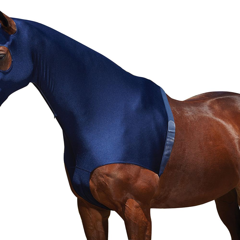 A horse in a blue Weatherbeeta Stretch Hood With Zip stands in a fenced outdoor area.