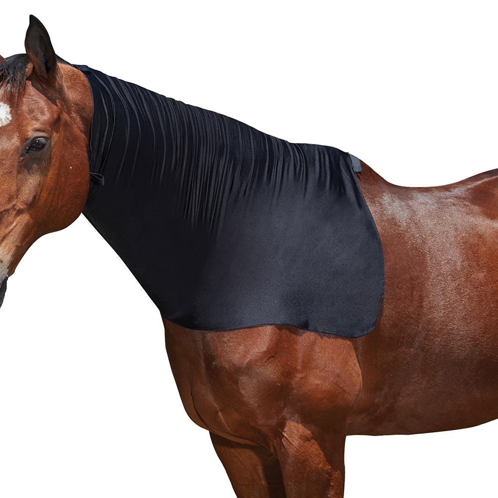 Brown horse wearing a Weatherbeeta Stretch Light Weight Neck Cover on a white background.