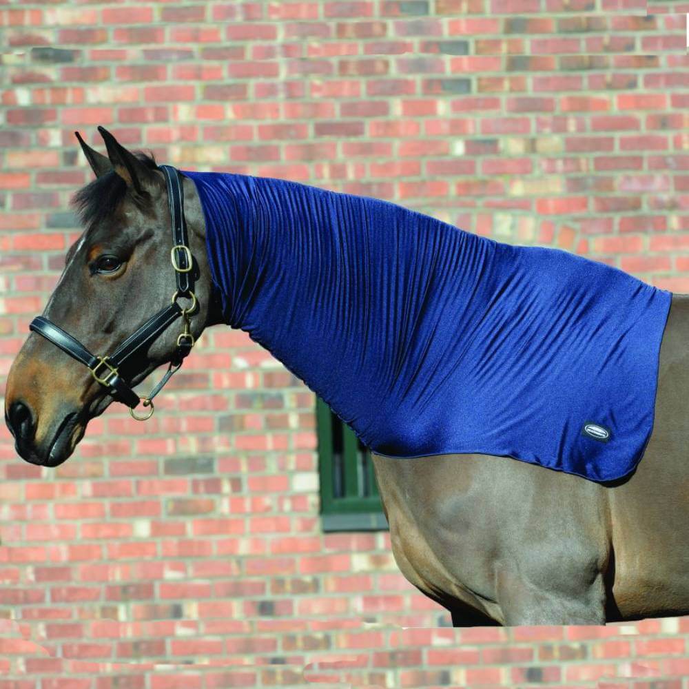 A horse in a blue Weatherbeeta Stretch Light Weight Neck Cover stands before a red brick wall.