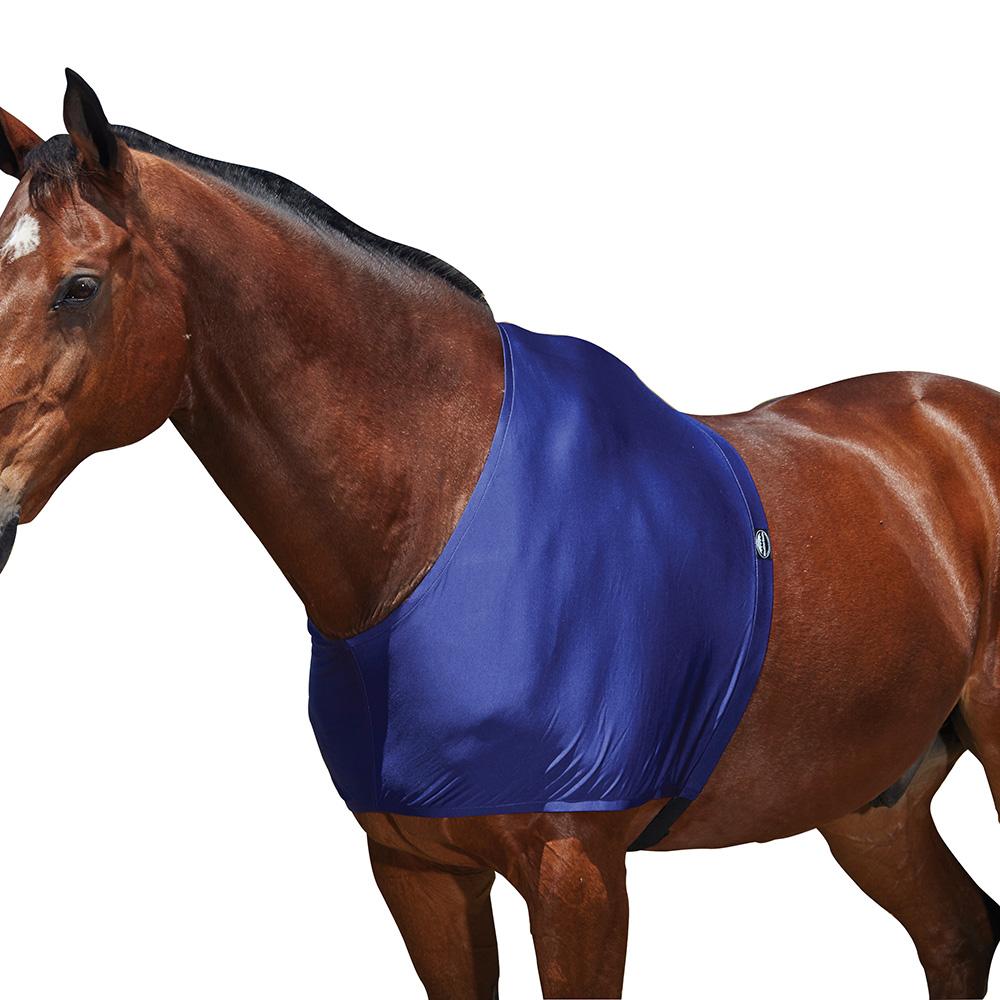Brown horse wears Weatherbeeta Stretch Shoulder Guard before a brick building with a window.