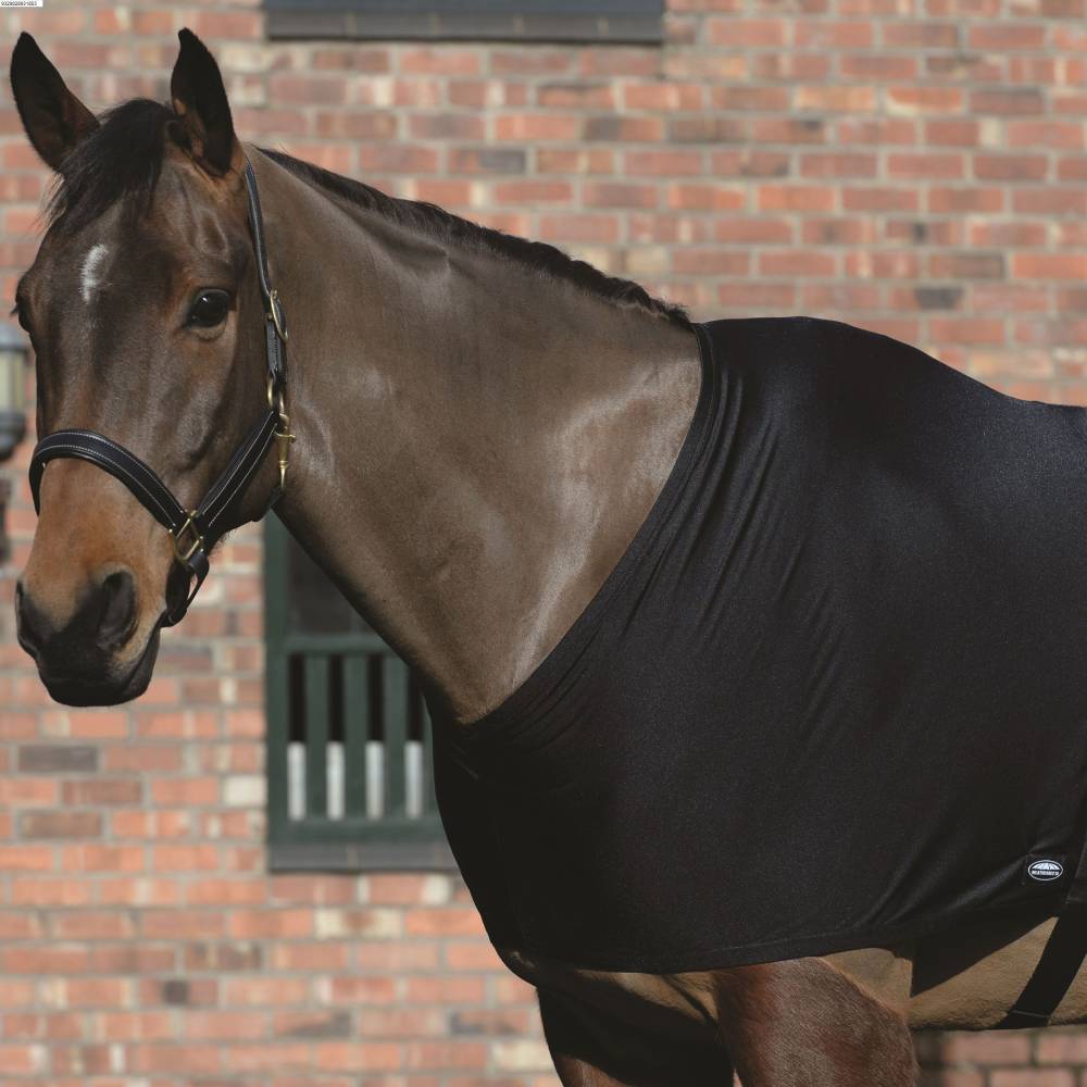 Brown horse in Weatherbeeta Stretch Shoulder Guard stands by a brick building window.