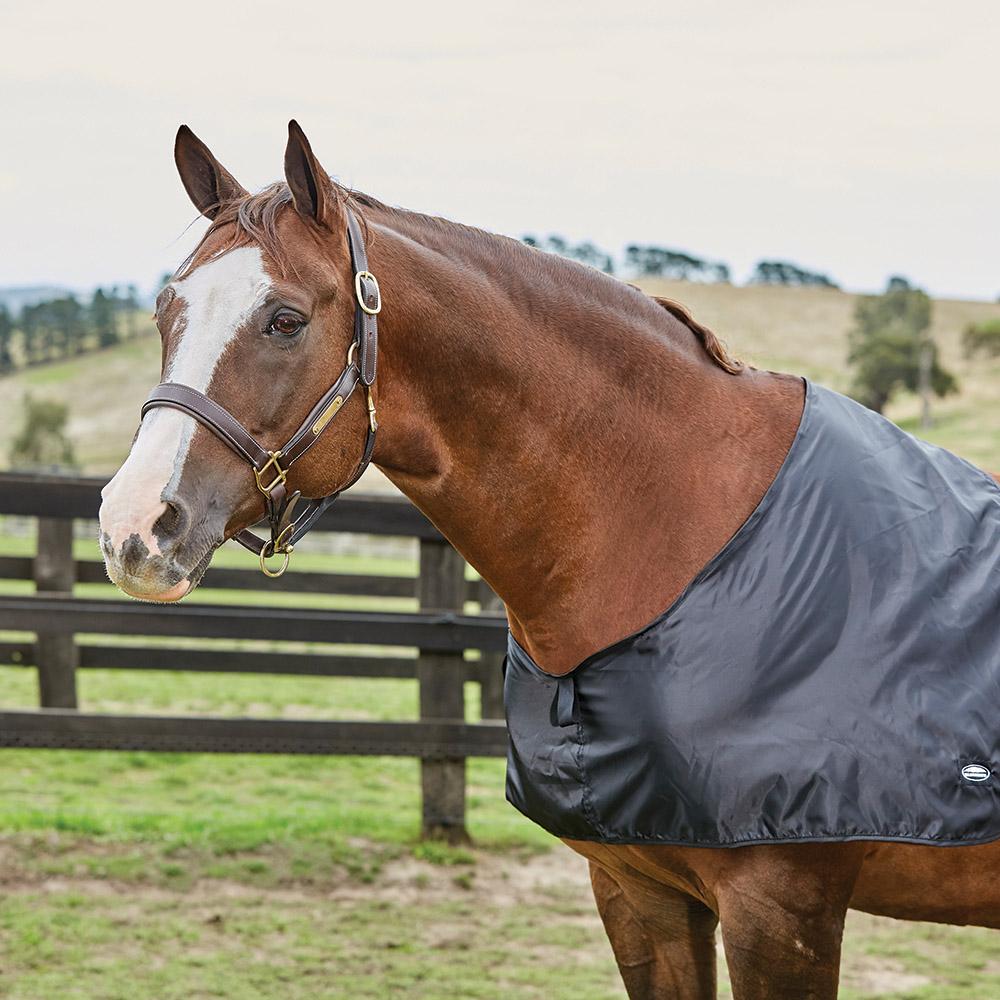 Brown horse wears Weatherbeeta Satin Shoulder Guard, a lightweight rug preventing chafing.