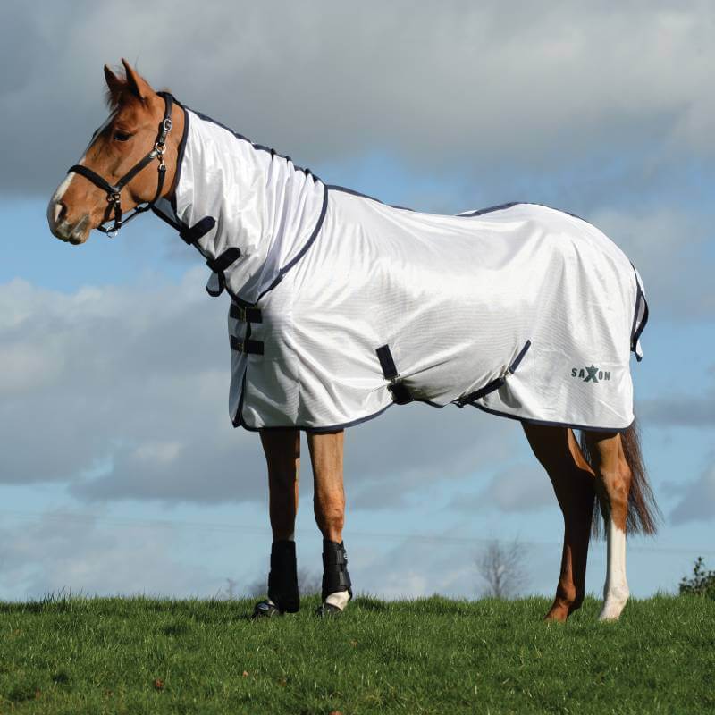 A brown horse wears the Saxon Mesh Combo Neck White/Navy rug, standing on grass under clouds.