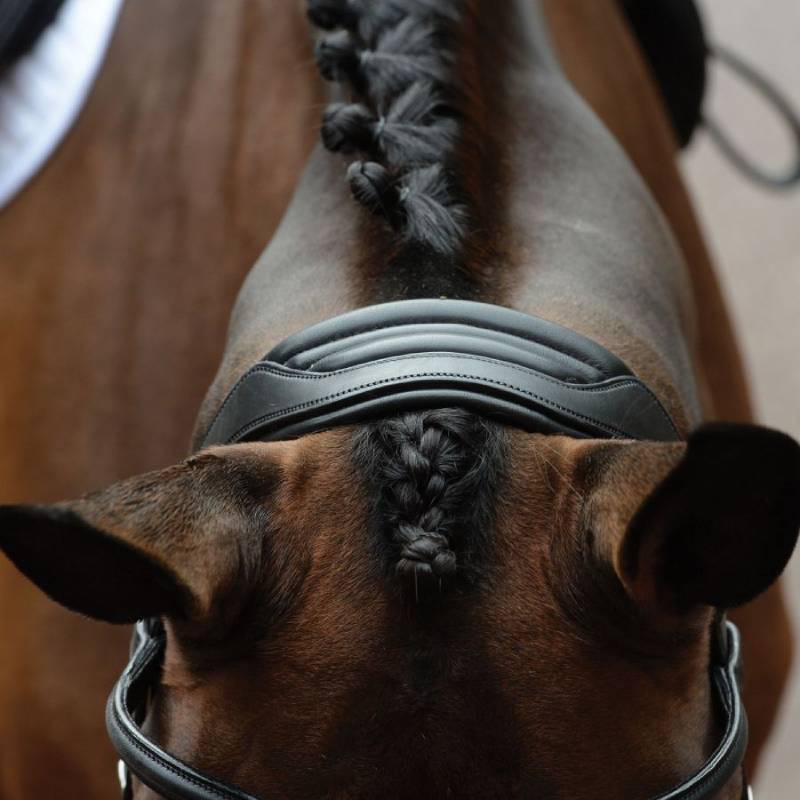 Close-up of a horse wearing the Collegiate Comfitec Vogue Anatomical Bridle Black, trees behind.