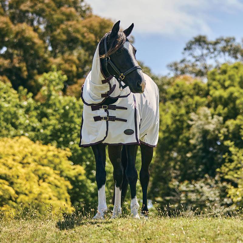 A horse in a Weatherbeeta Comfitec Essential Mesh II rug stands on grass under blue sky.