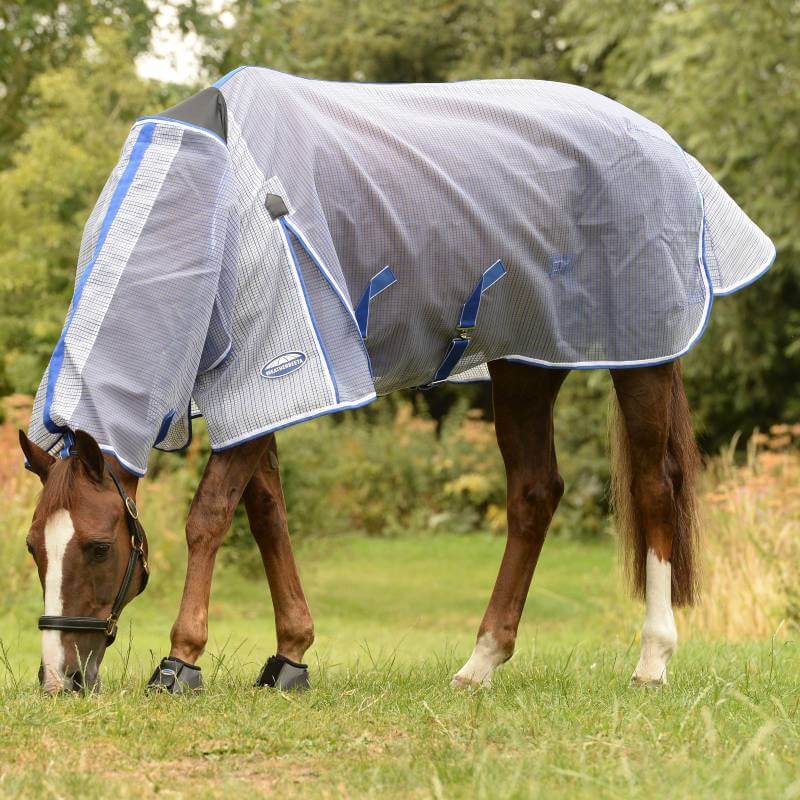A horse in a Weatherbeeta Comfitec Ripshield Plus rug stands on grass, trees behind.