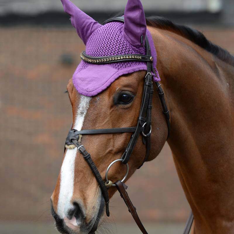 Brown horse in a Weatherbeeta Prime Ear Bonnet Violet, with bridle, facing left.