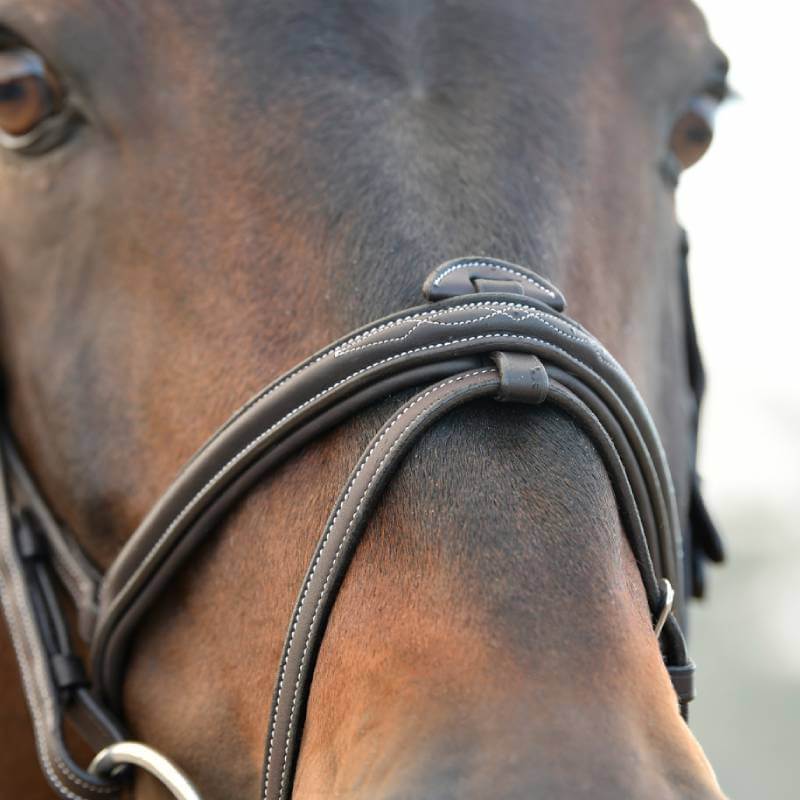 Close-up of a brown horse in a Collegiate Opulux Fancy Stitch Hanoverian Bridle, rider at left.