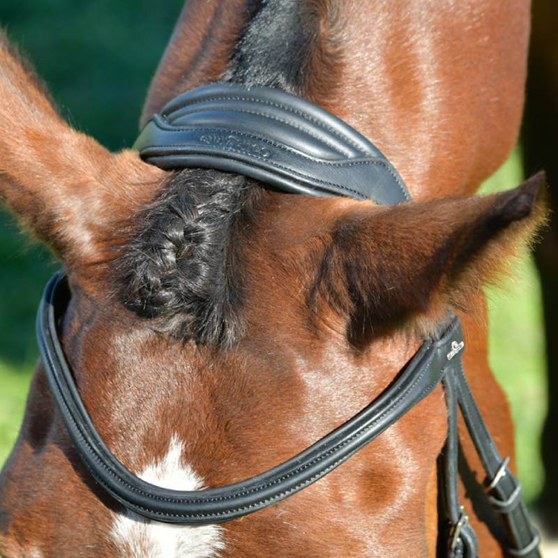 Close-up of a horse’s head with braided mane in Collegiate Comfitec Opulux Hanoverian bridle.