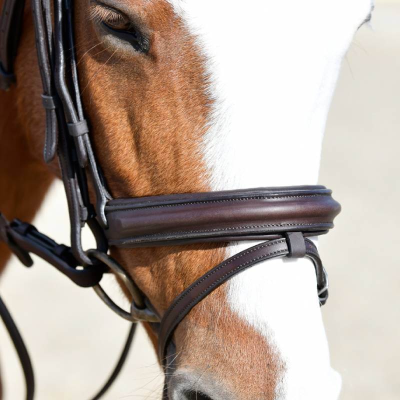 Brown horse wearing the Collegiate Comfitec Opulux Dark Brown Bridle, outdoors near a fence.