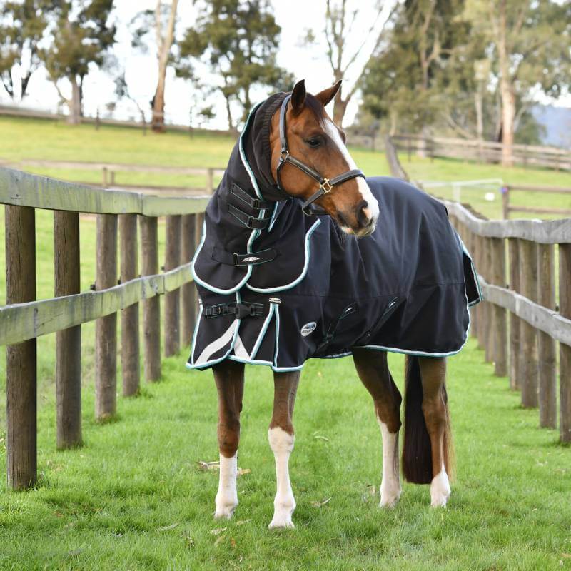 A brown horse wears a Weatherbeeta Comfitec Ultra Comfi blanket on grass between fences.