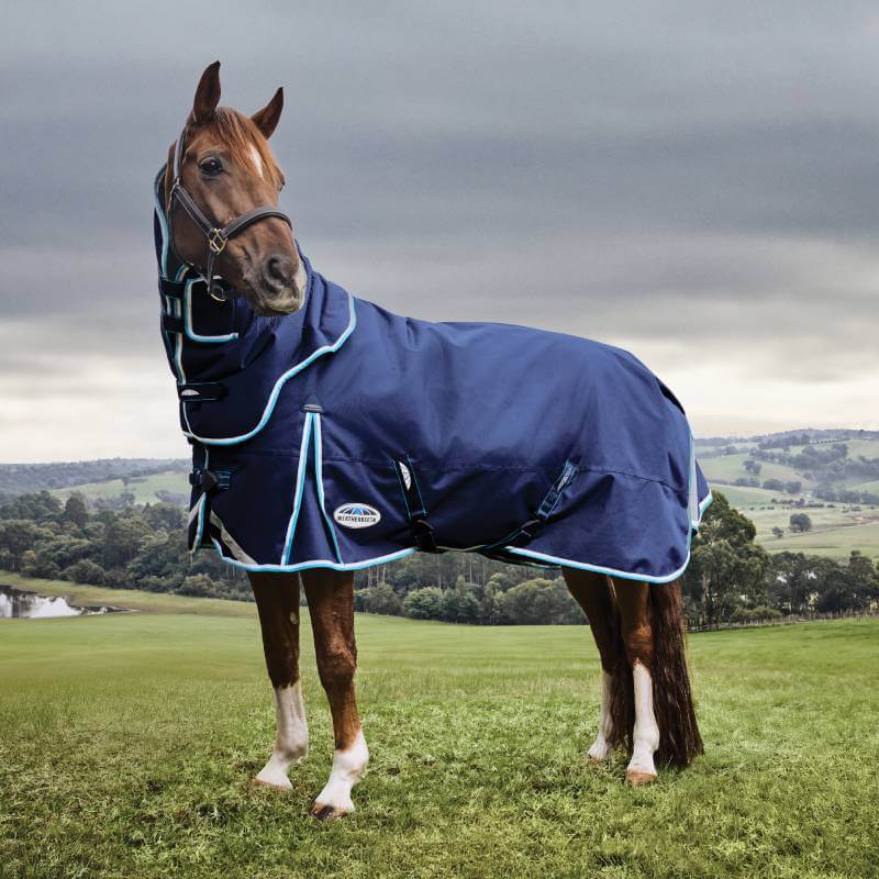 Brown horse in a Weatherbeeta Comfitec Ultra Hardi Detach-A-Neck rug stands on grass.