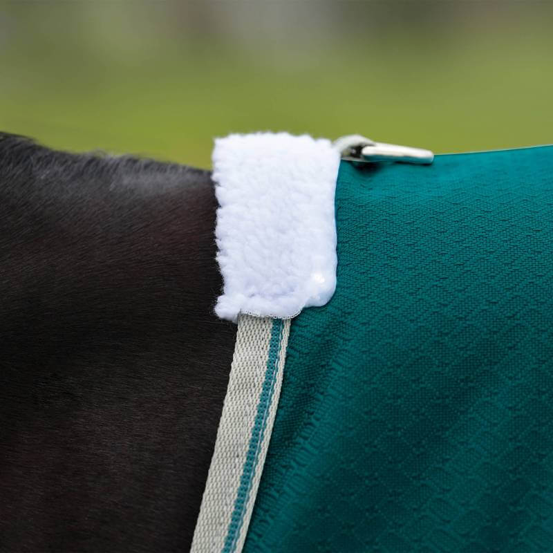 A horse wears a teal Weatherbeeta Comfitec Plus Dynamic II Standard Neck Lite rug.