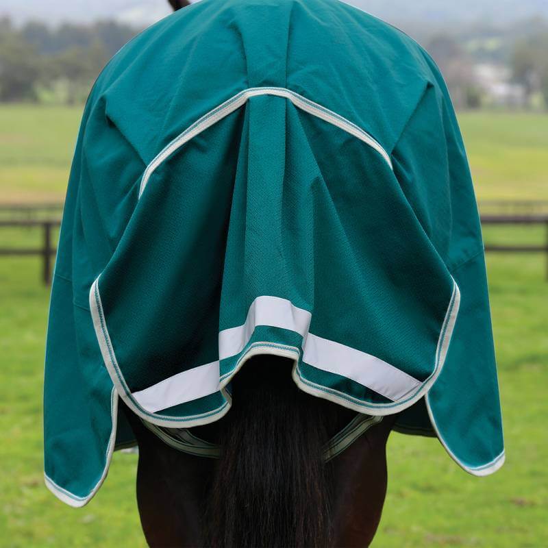 Horse in Weatherbeeta Comfitec Plus Dynamic II Standard Neck Lite Teal Green rug, rear view.