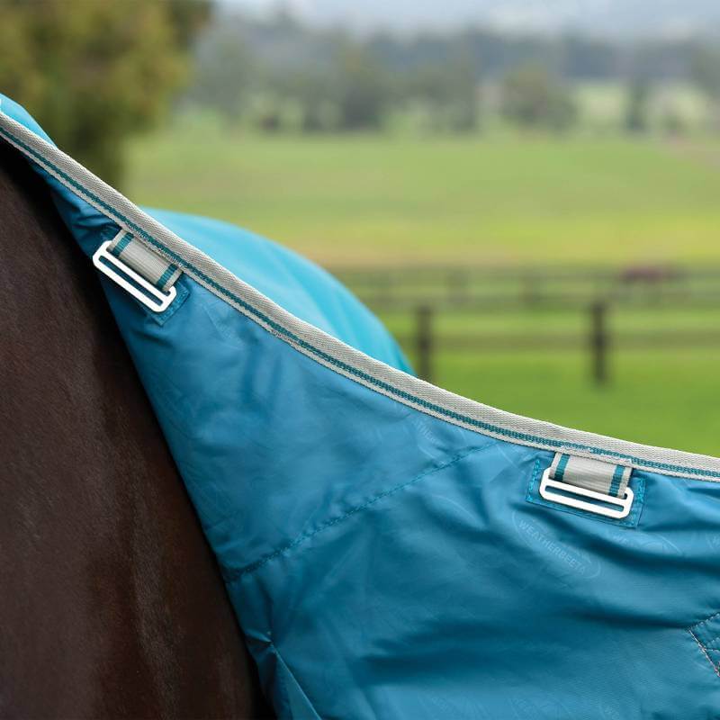 Close-up of a Weatherbeeta Comfitec Plus Dynamic II rug in teal green on a horse in a field.