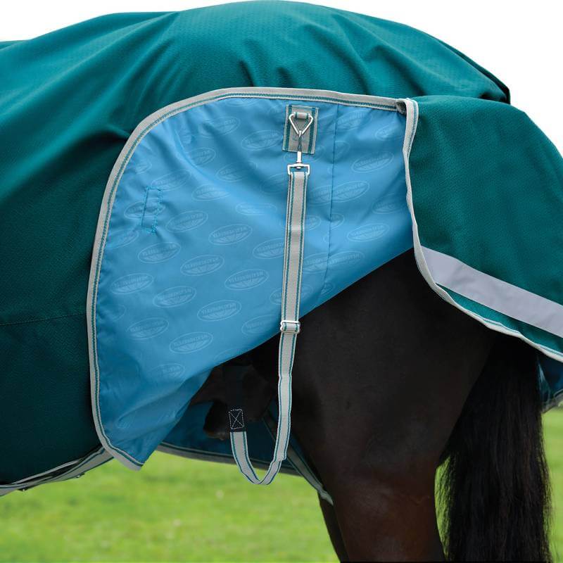 Weatherbeeta Comfitec Plus Dynamic II Lite rug in teal/green on a horse standing on grass.